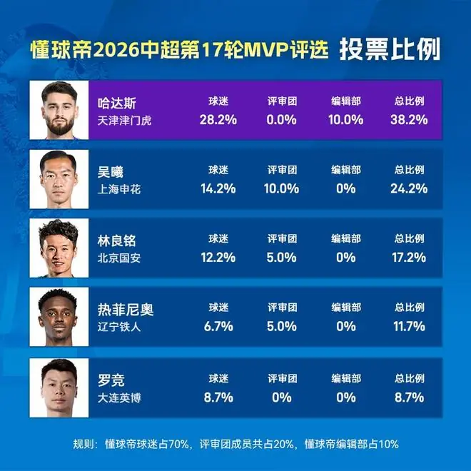 投票比例